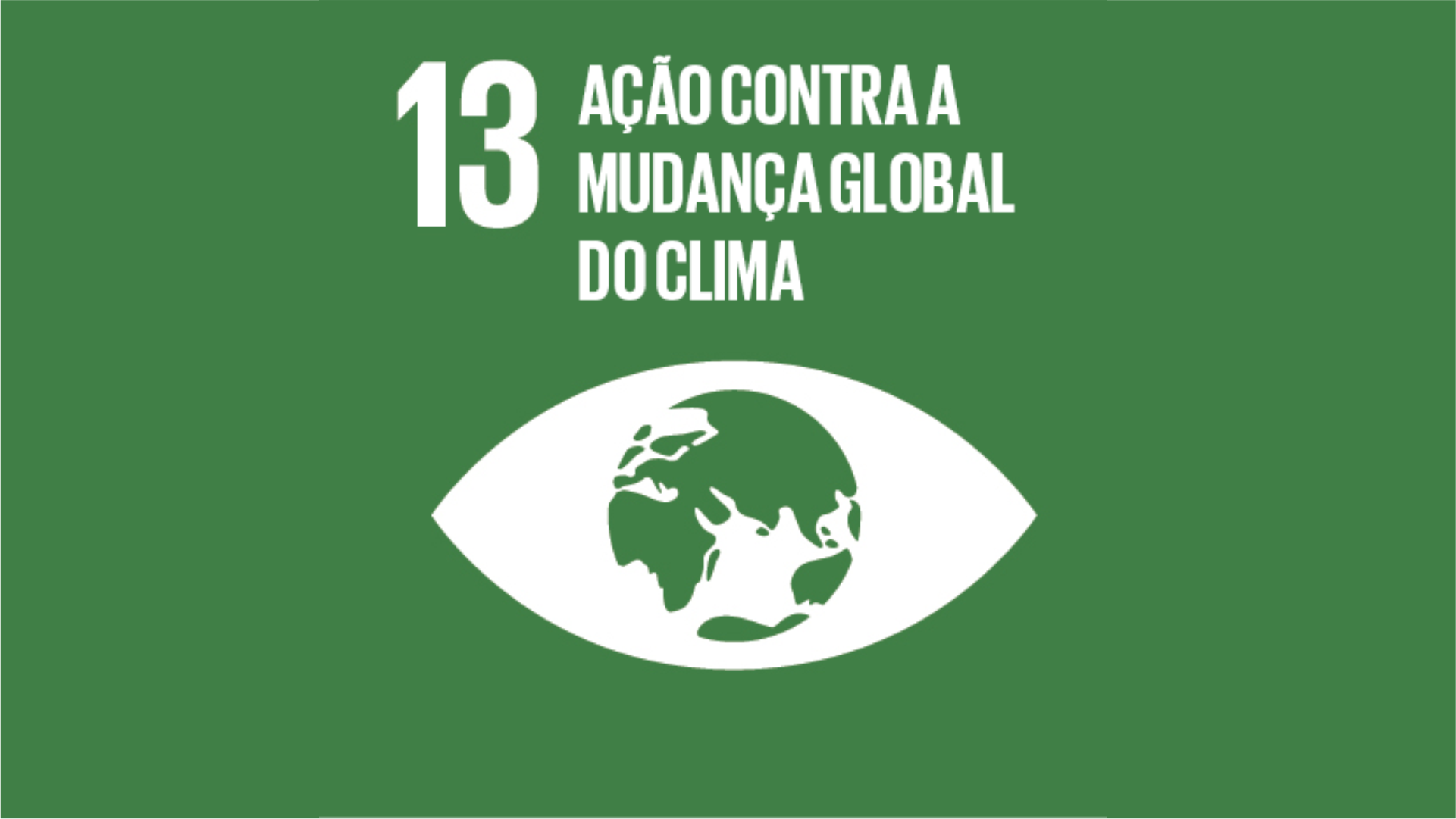 Objetivo 13 - Ação Contra a Mudança Global do Clima 