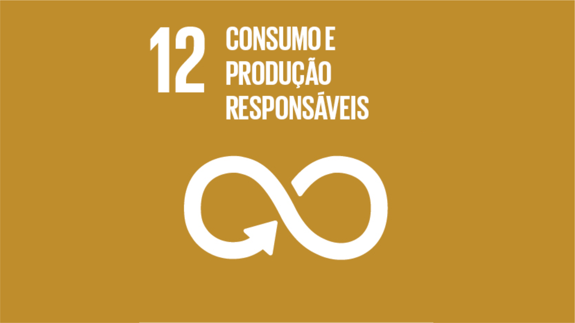 Objective 12 - Responsible Consumption and Production